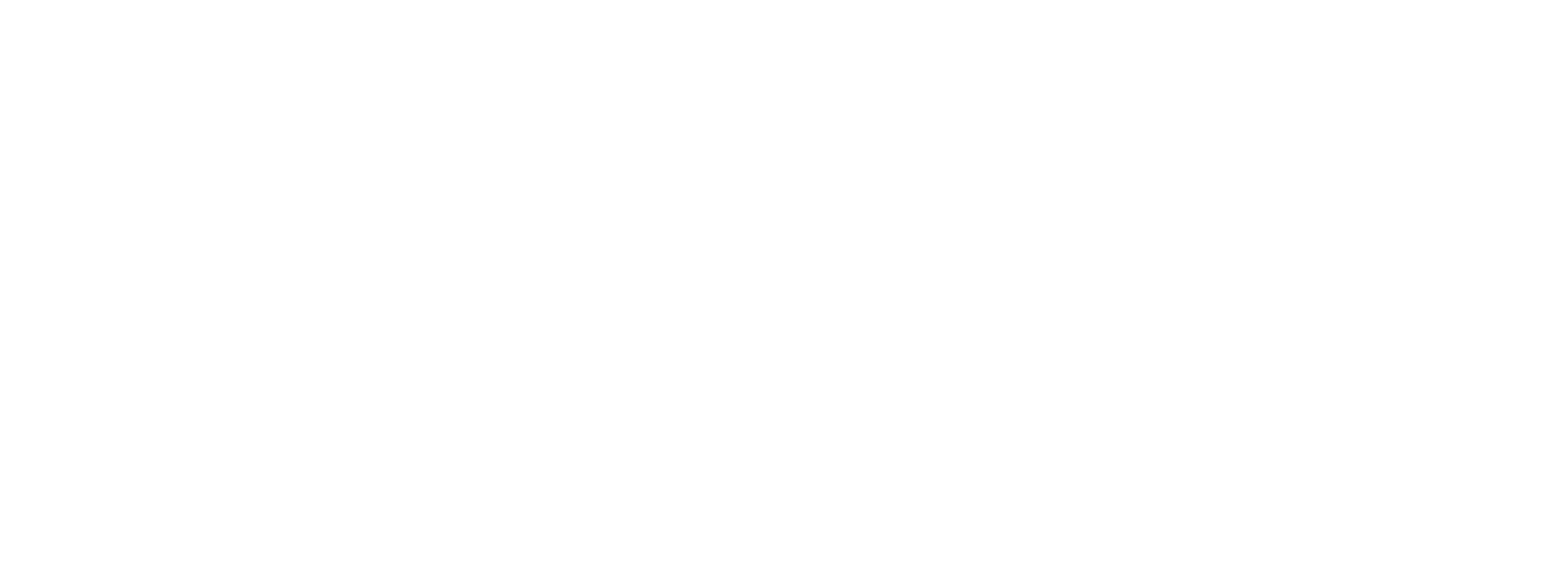 Das Partnerlogo von Logo reviu